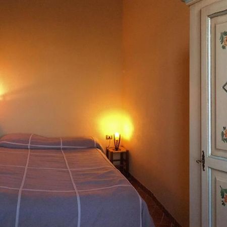 Agriturismo Terre Di Musignano Canino Bagian luar foto