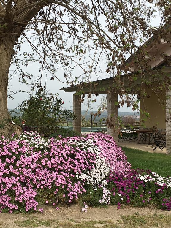 Agriturismo Terre Di Musignano Canino Bagian luar foto