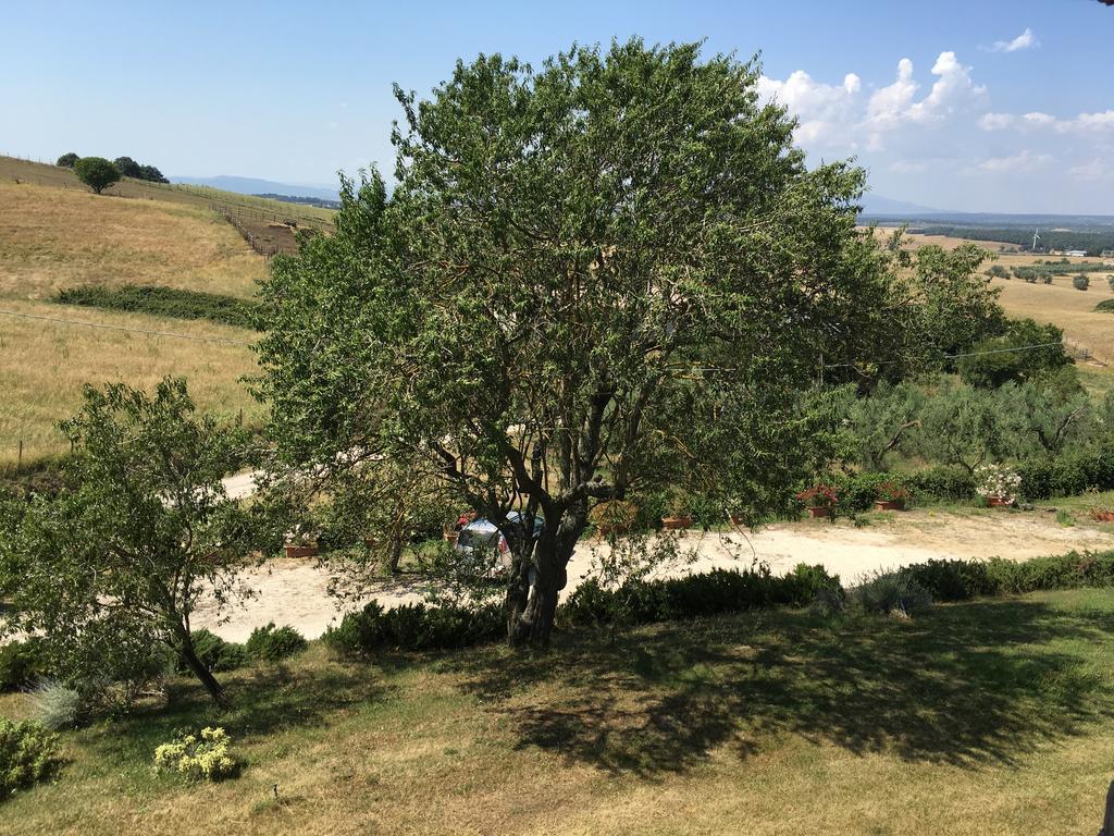 Agriturismo Terre Di Musignano Canino Bagian luar foto